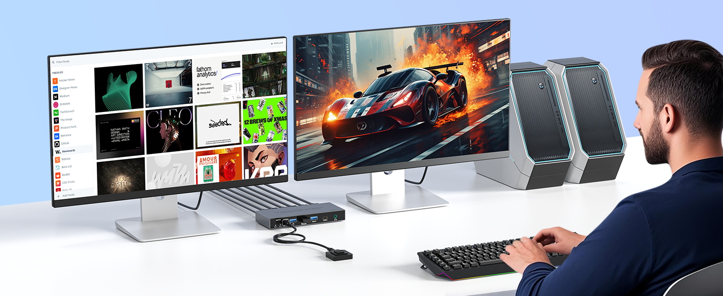 kvm switch 2 monitors