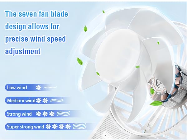 818fan