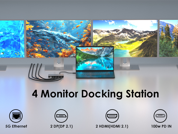 WAVLINK Laptop Docking Station