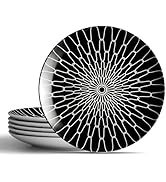 AYFDISHS 10-Inch Dinner Plates Set of 6, Black and White Grid Ceramic Plates, Large Checkerboard ...