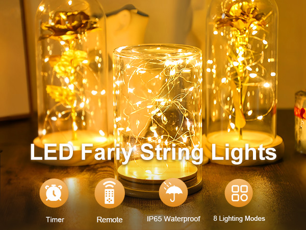 fairy lights with remote