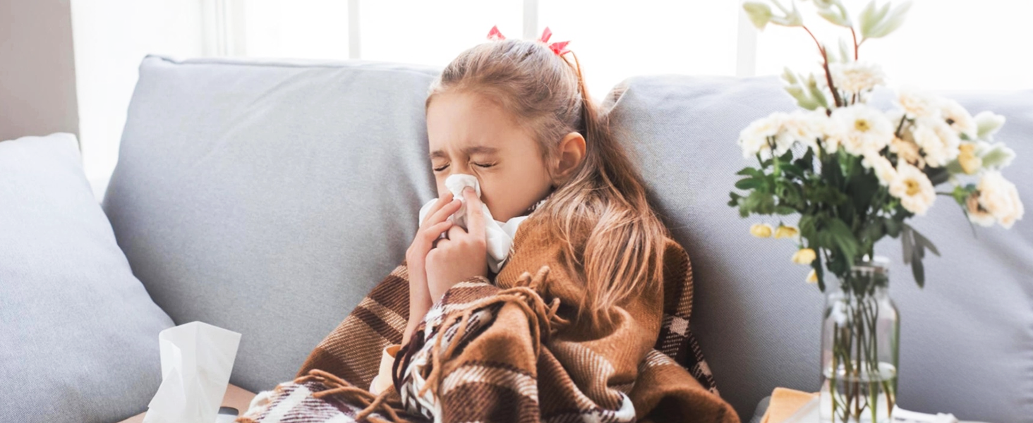 home air purifiers for allergies and dust