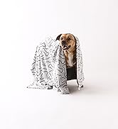 Pet blanket wrapped around cute dog