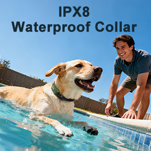 e collar for dogs training