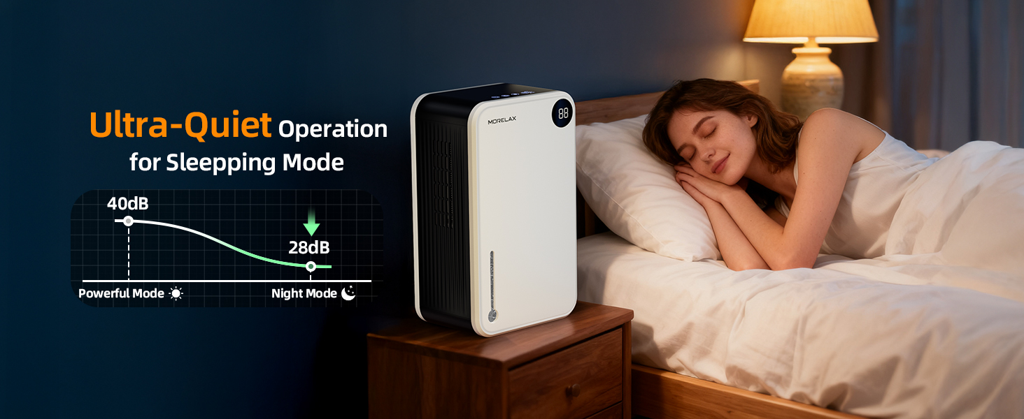 home Dehumidifier