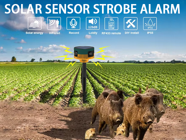 dog bark deterrent devices door stop alarm solar motion lights outdoor waterproof door alarm