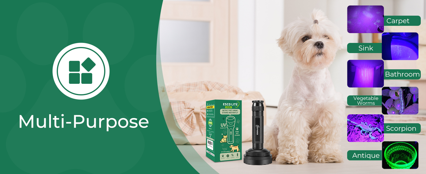 uv torch uv flash light black light flash light black light for detecting urine