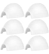 Toddmomy 6Pcs Kids Figurine Toys, Realistic Mini Ice House Model for Boys Girls, Educational Play...