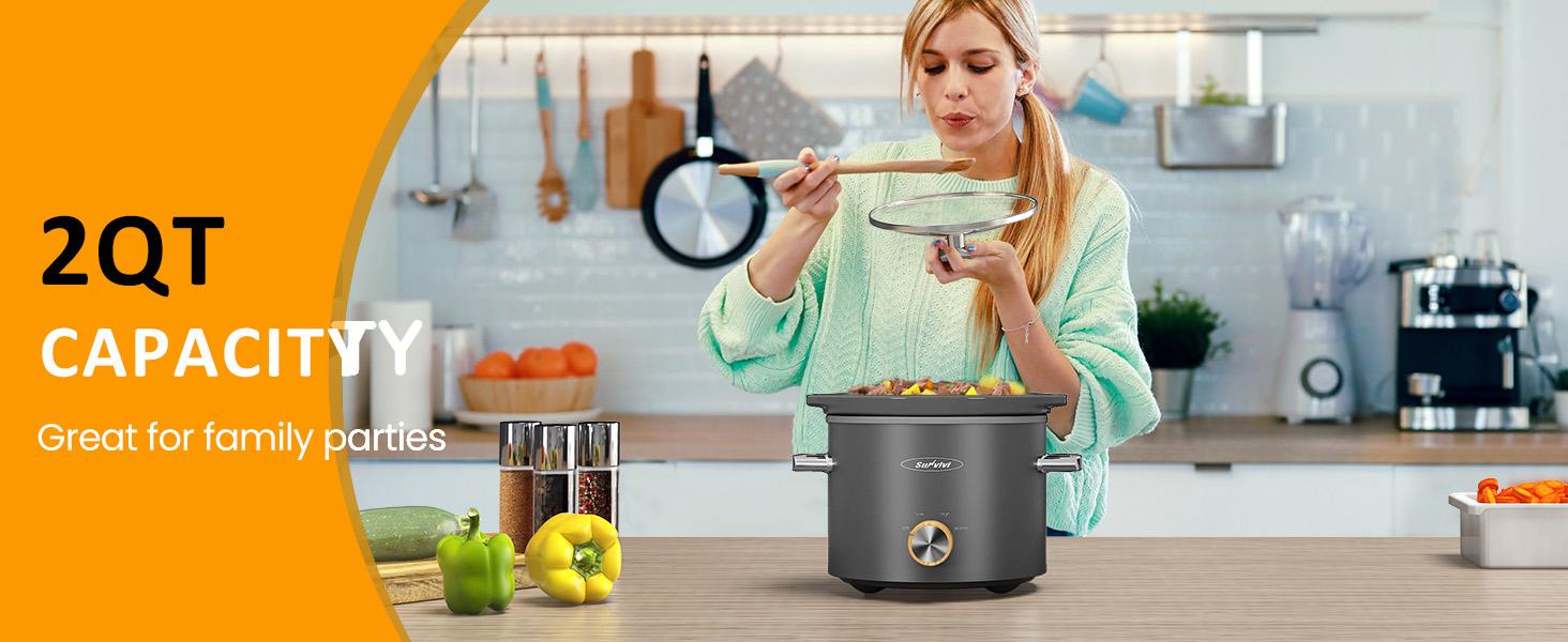 2 Quart Slow Cooker, Small Slow Cooker with Removable Ceramic Pot/mini electric food warmers