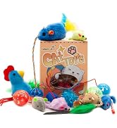 Fashion's Talk Cat Toys, Kitty Variety Pack for Kitten Cats, 20 Count Plush, Teaser &amp; Ball Catnip...