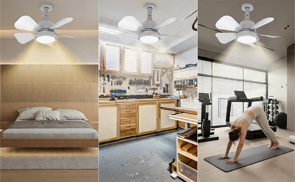 Ceiling Fan with Light