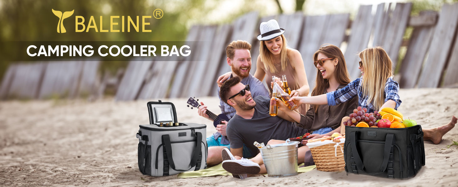 camping cooler bag