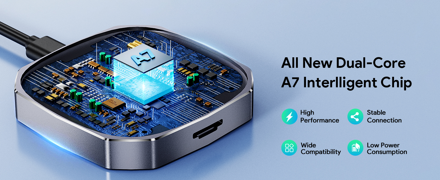 Dual-Core Smart Chip