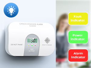 carbon monoxide detector