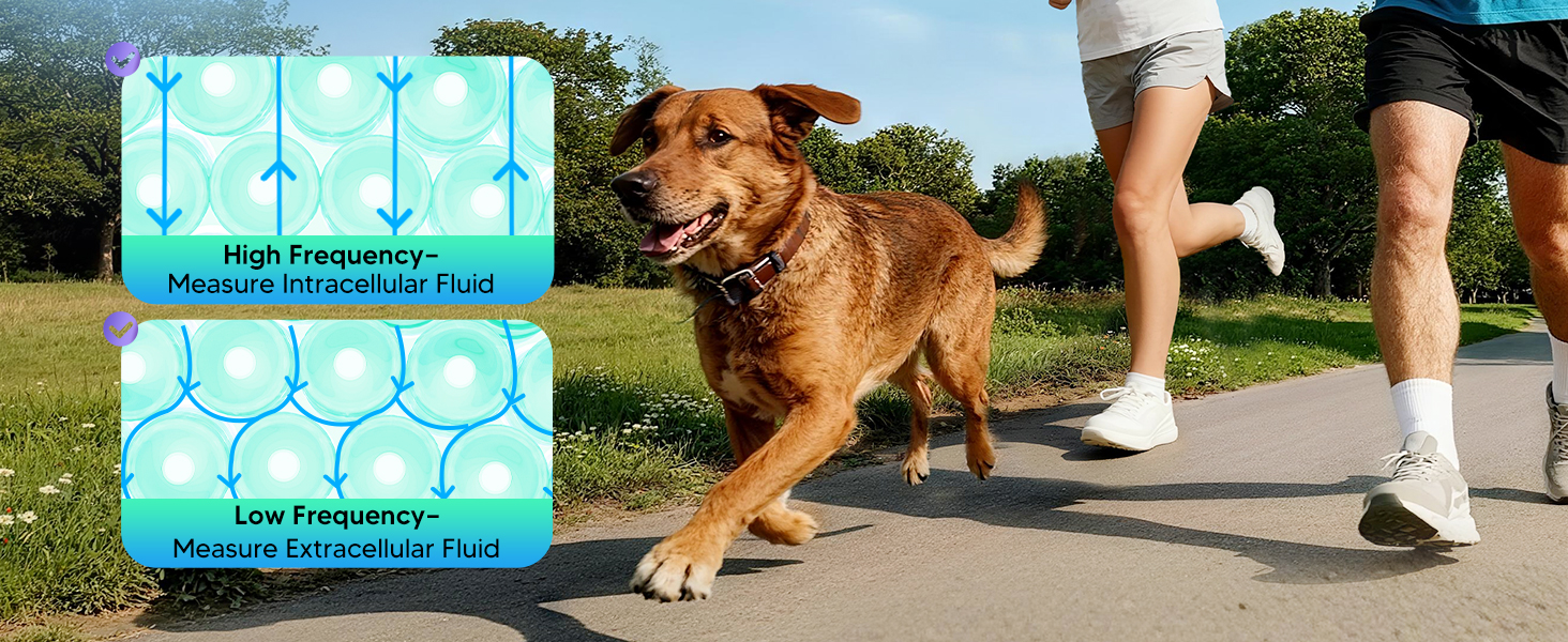 arboleaf 8-Electrode smart scale