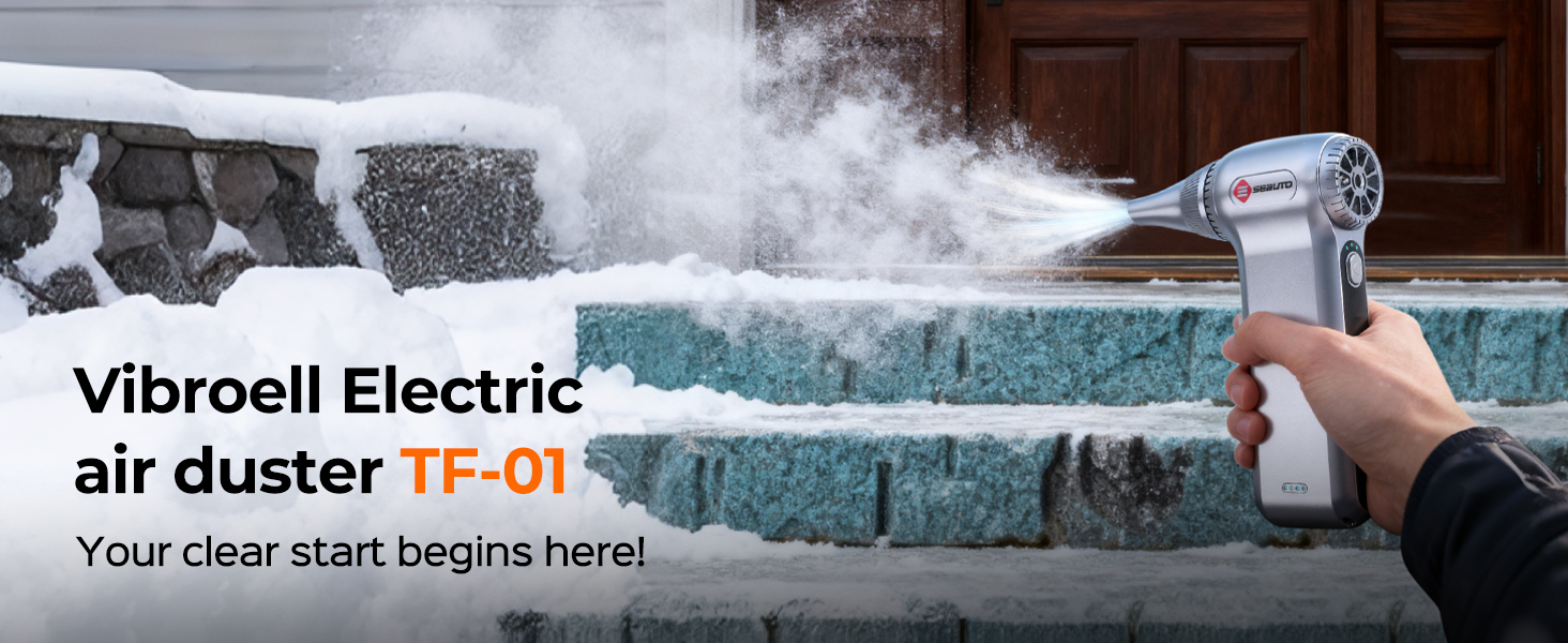 Portable rechargeable dust cleaner for snow