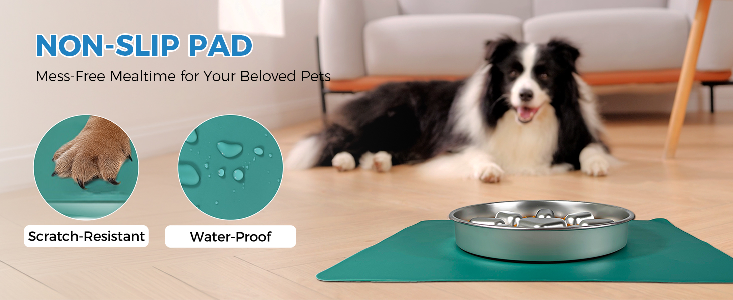 slow feeder dog bowls