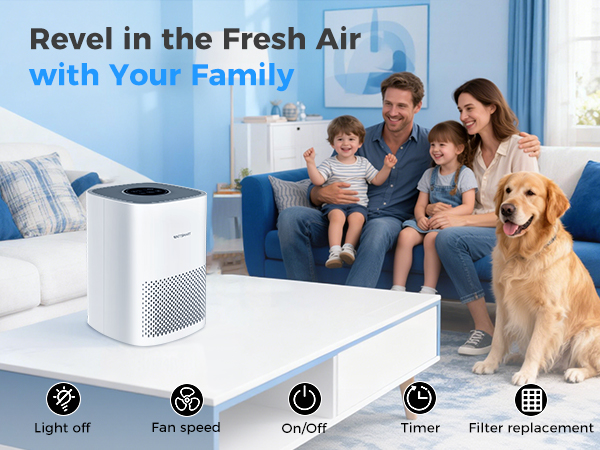 Air Purifiers for home