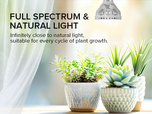 SANSI Scientific Design - Reliable &amp;amp;amp; Safe!