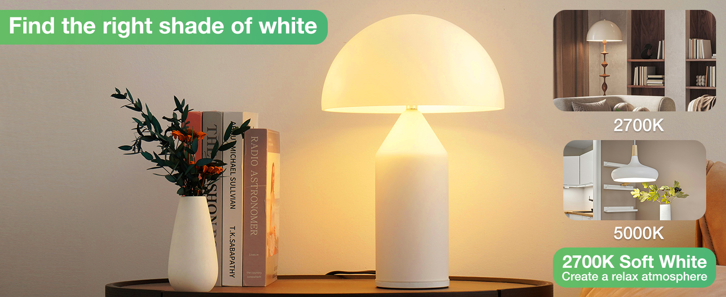 A19 2700K Soft White light bulb