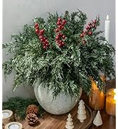 Cedar Stems Artificial Norfolk Pine Branches for Christmas Decor, 12 PCS Fake Pine Stems with 3 P...