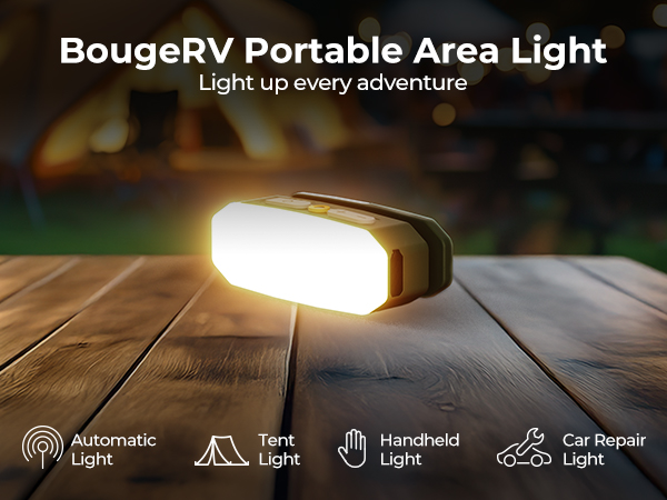 AL01 AREA LIGHT