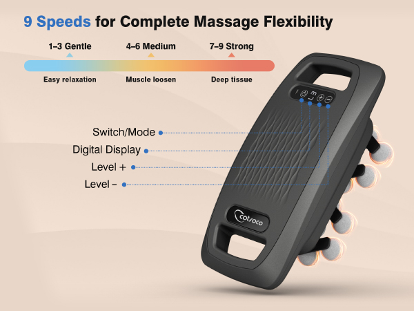 20-Head Massage Gun