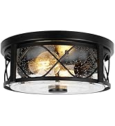 Rustic Close to Ceiling Light Fixtures, Farmhouse Flush Mount Ceiling Lighting, Metal Cage Lighti...