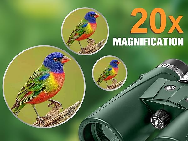 Binoculars for Adults High Powered