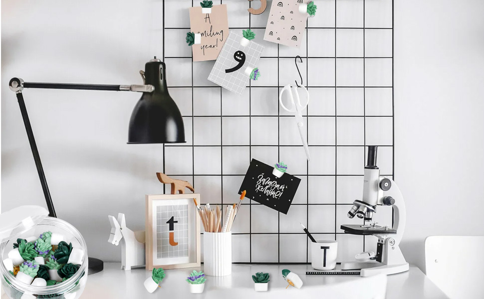 Cute Succulent Plants Decorative Push Pins Colorful Floret Thumbtacks for Photo Wall, Feature Wall