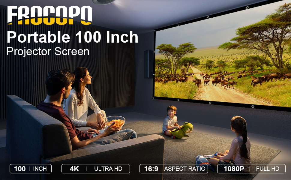 100 inch Projector Screen