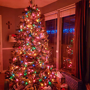 christmas lights-5