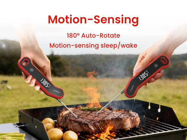 digital meat thermometer