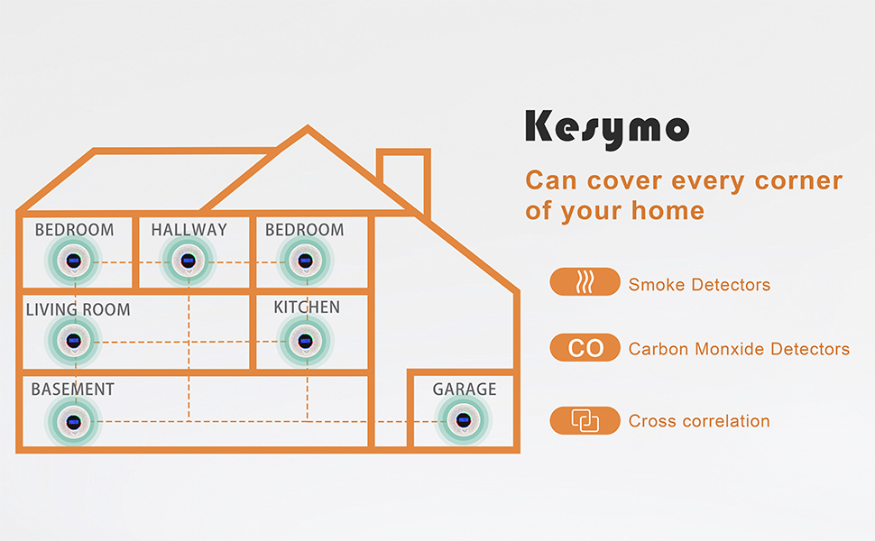 smoke alarm and carbon monoxide detector