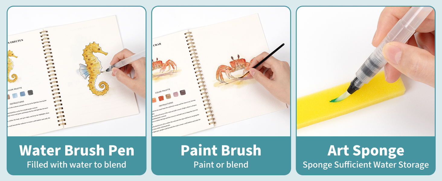 Beginner-Friendly Watercolor Workbooks
