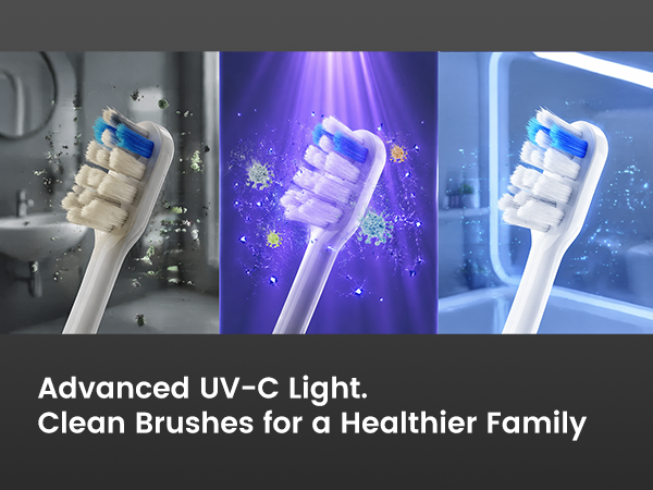 uv toothbrush sanitizer holder
