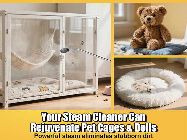 hand held steamer