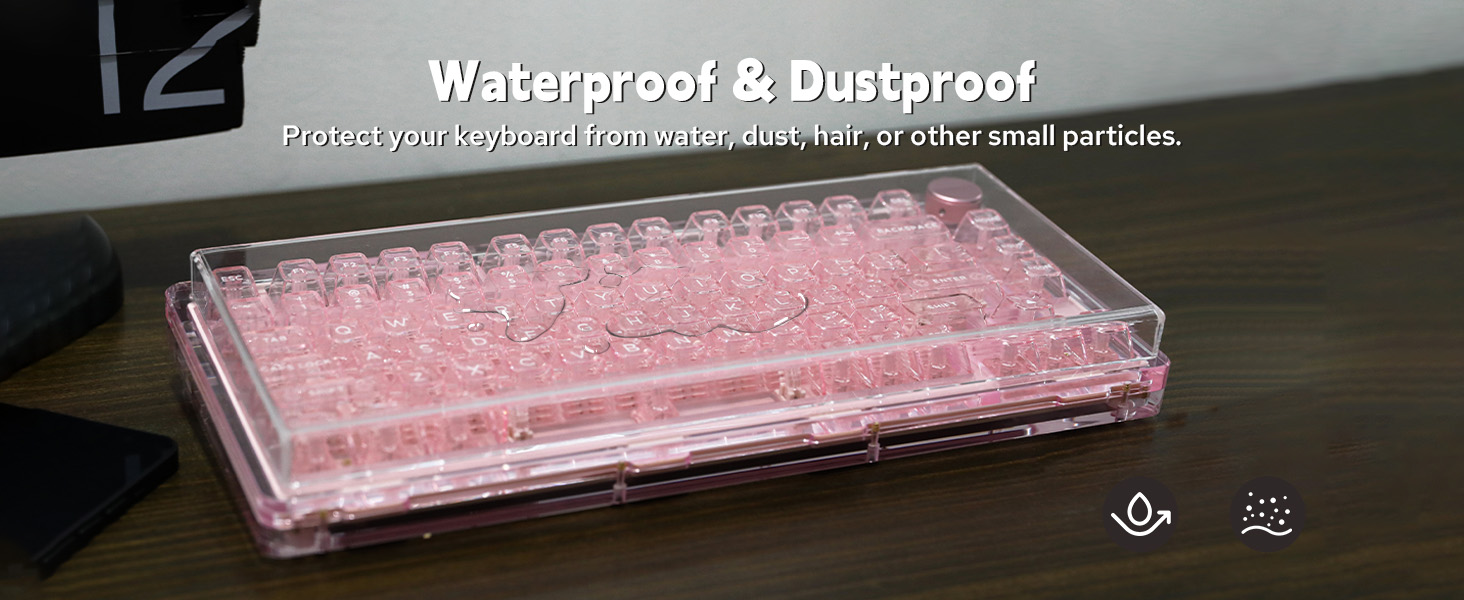 Dust Cover 81