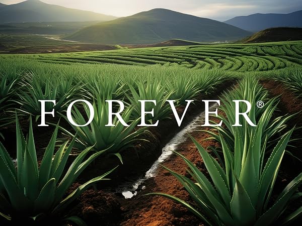 Pasta de dientes de aloe vera productos gel dental para siempre sin flúor dientes encías propóleo