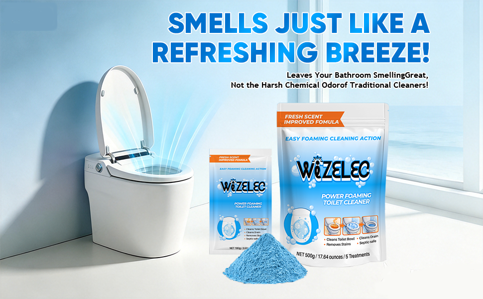 toilet cleaning power 01