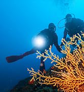 sofirn SD06 Scuba Diving Flashlight, 3200 High Lumens 472 Meters Long Throw Bright Underwater Lig...