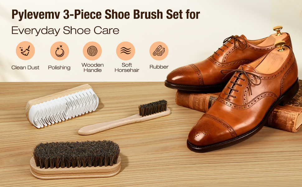 Pylevemv shoe brush set