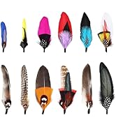 Daieeparty Hat Feathers 12PCS Colorful Natural Craft Feather for Cowboy Hat Fedoras Trilby Hats P...