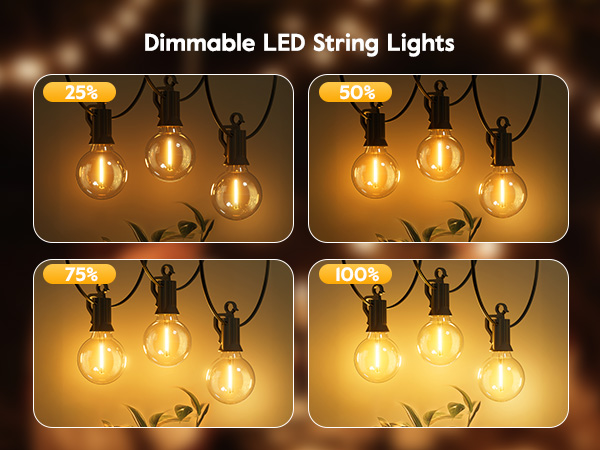 Outdoor String Lights