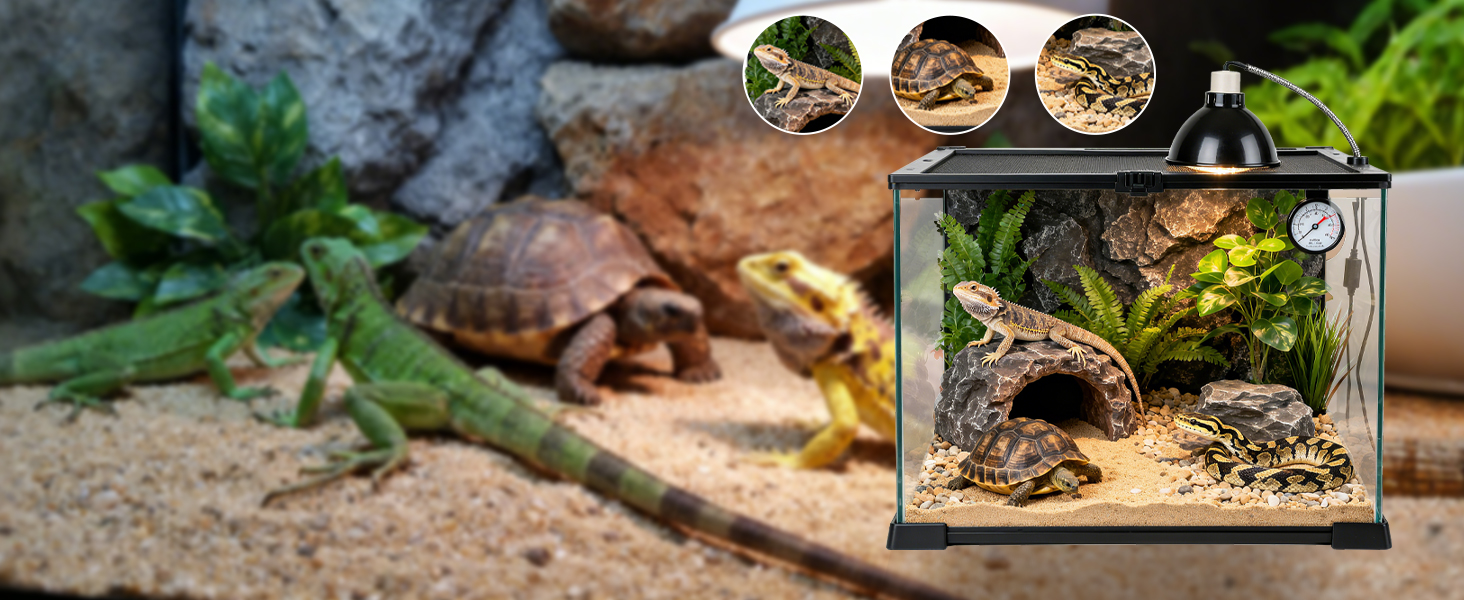 thermostat for reptile rank