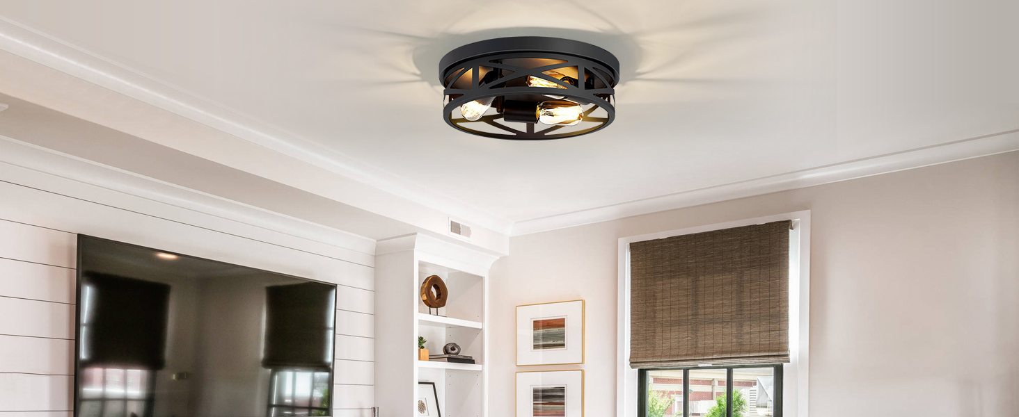 flush mount ceiling light