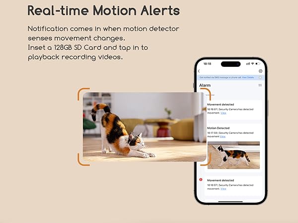 real-time motion alerts