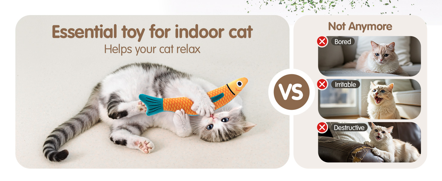 interactive cat toy
