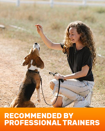 Text reads 'RECOMMENDED BY PROFESSIONAL TRAINERS'. Outdoor action sequence showing people exercising and training with various equipment.