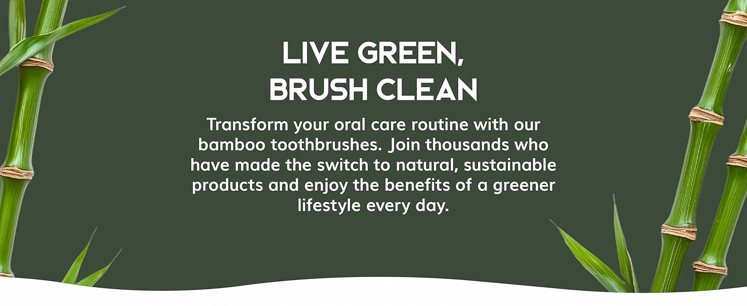 Greenzla Natural bamboo toothbrushes, travel toothbrush set, travel kit, toothbrushes for adults